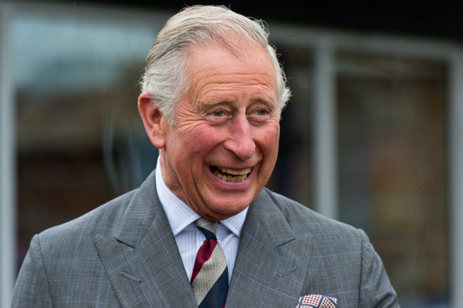 Принц Чарльз вылечился от коронавируса - СМИ
