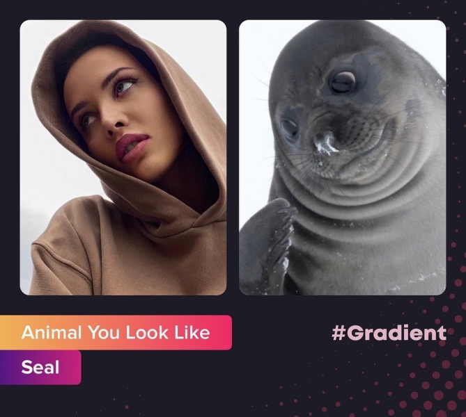 Новый Instagram-флешмоб: звезды сравнивают себя с животными