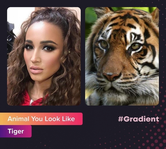 Новый Instagram-флешмоб: звезды сравнивают себя с животными
