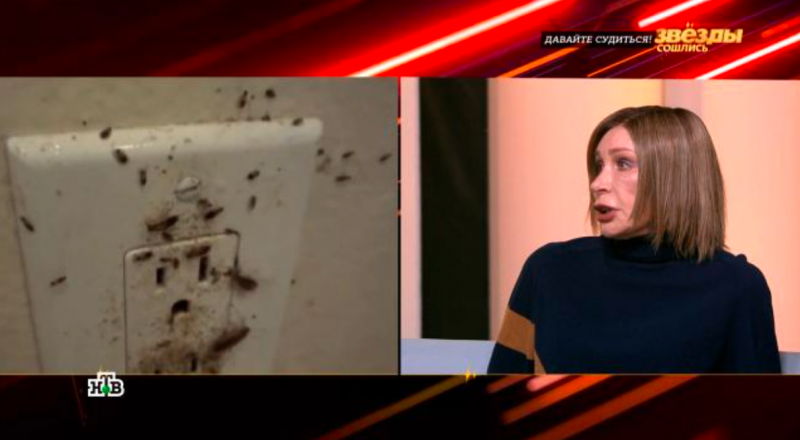 Тараканы, муравьи и клопы: Татьяна Васильева рассказала о жизни в квартире в центре Москвы