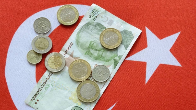 Экономист Скловец: рубль не пострадает из-за обвала турецкой лиры
