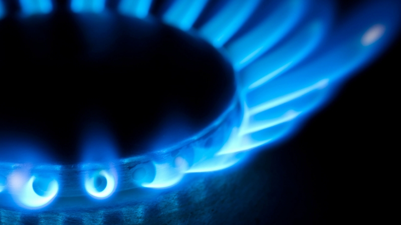 "Газпром" не возобновил поставки топлива по трубопроводу Ямал — Европа