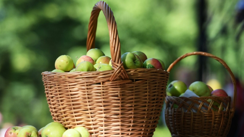 Можно ли вкушать яблоки до Яблочного Спаса?