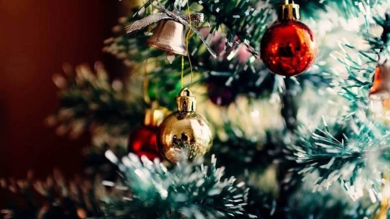Сотрудник МЧС Голубых посоветовал не тушить новогоднюю елку водой при пожаре