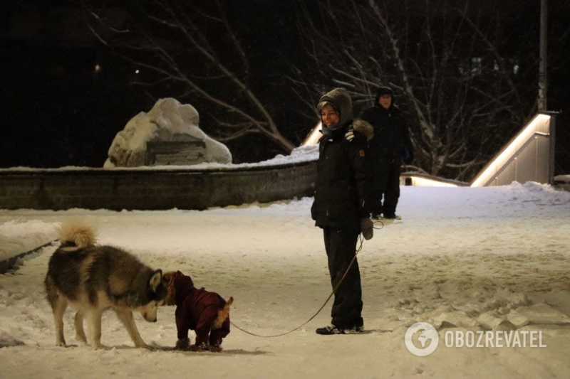 В сети показали, как выглядел Киев во время снегопада 20 декабря. Фото
