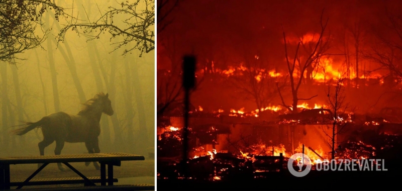 В США мощные пожары уничтожили более 500 домов, власти эвакуируют тысячи людей. Фото и видео