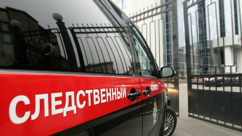 Житель Челябинской области пойдет под суд за убийство младенца