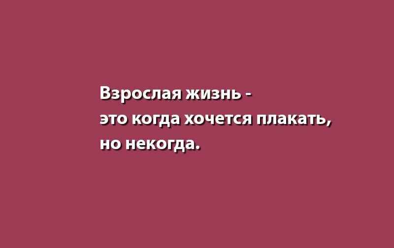 Анекдоты дня: лучшие шутки и мемы за 18 января