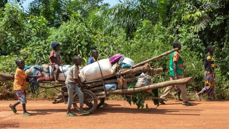 Центральноафриканская сельскохозяйственная ярмарка пройдет в Бозуме