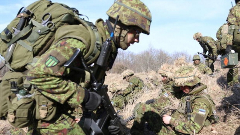 Эстонская армия столкнулась с задержками поставок оружия из-за пандемии COVID-19