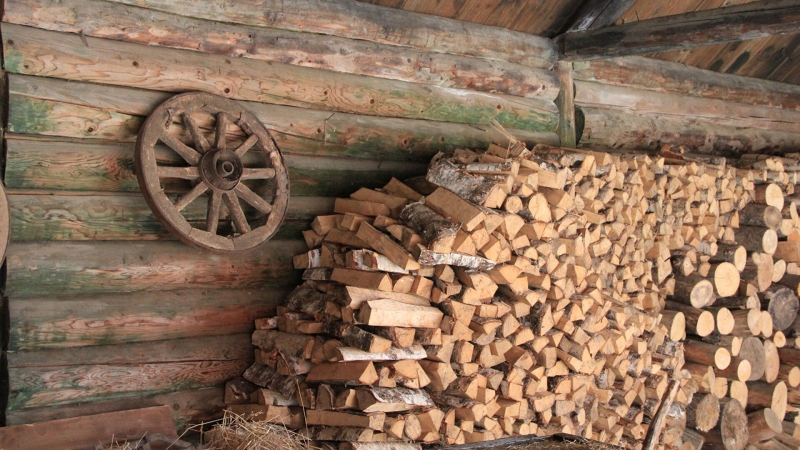 Киевляне перешли на дрова