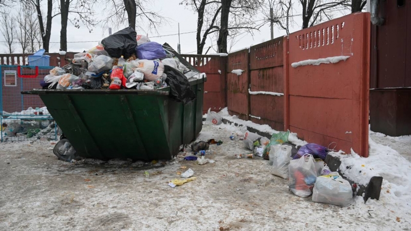 Не подойти к мусорке, чтобы не стошнило: актриса Данилова о мусорном коллапсе в Петербурге