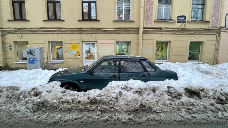 Петербуржцы не дождались дворников и сами вышли чистить улицы от снега
