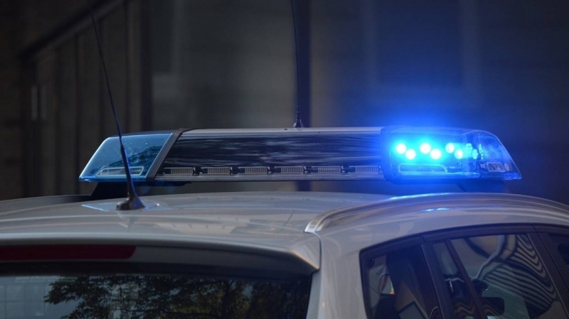 Полиция может проверить версию об инсценировке нападения на вдову Градского