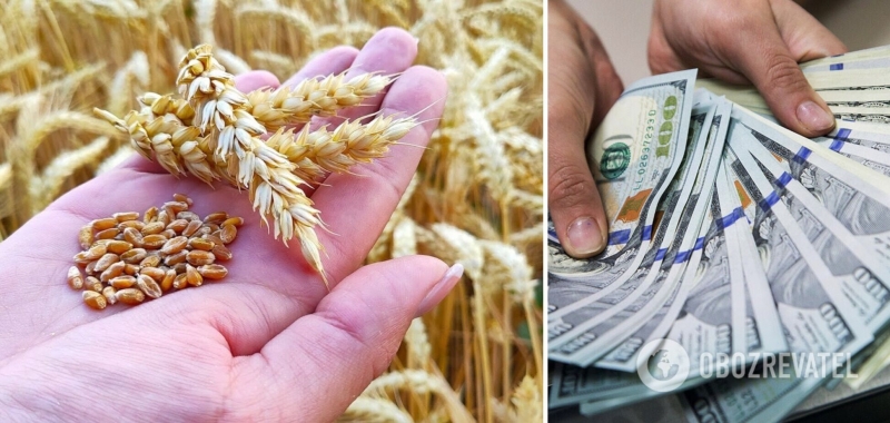 Продали едва ли не все зерно: Украина увеличила экспорт агропродукции на 25%