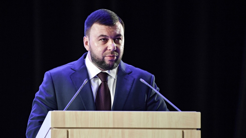 Пушилин оценил посреднические инициативы Турции по Украине