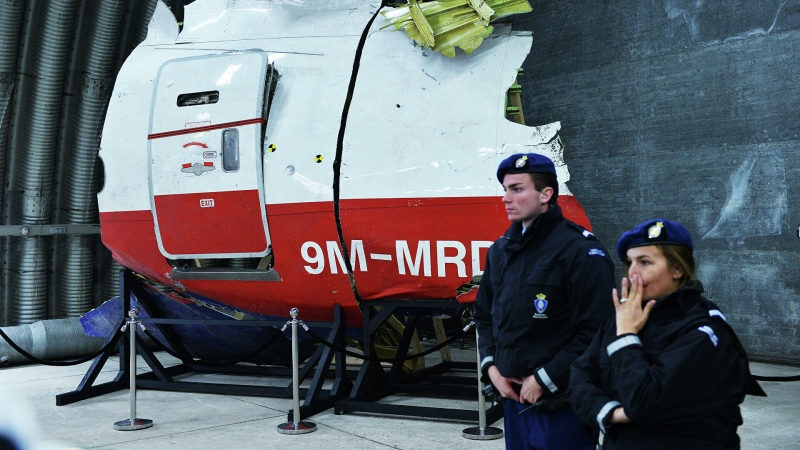 Россия надеется, что ЕСПЧ отклонит заявления Украины по делу MH17