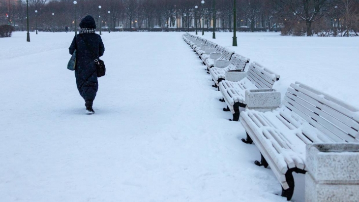 Снег и небольшой мороз ожидаются в Петербурге 31 января