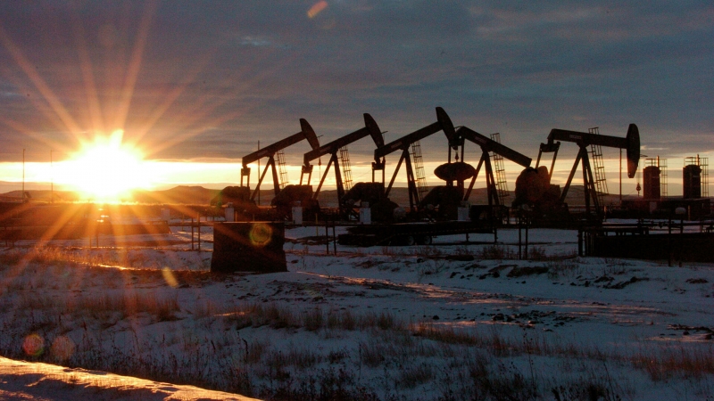 США поприветствовали решение ОПЕК+ о наращивании добычи нефти 