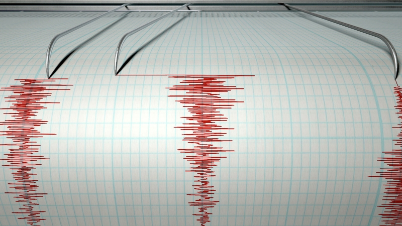 У японских островов Огасавара произошло сильное землетрясение