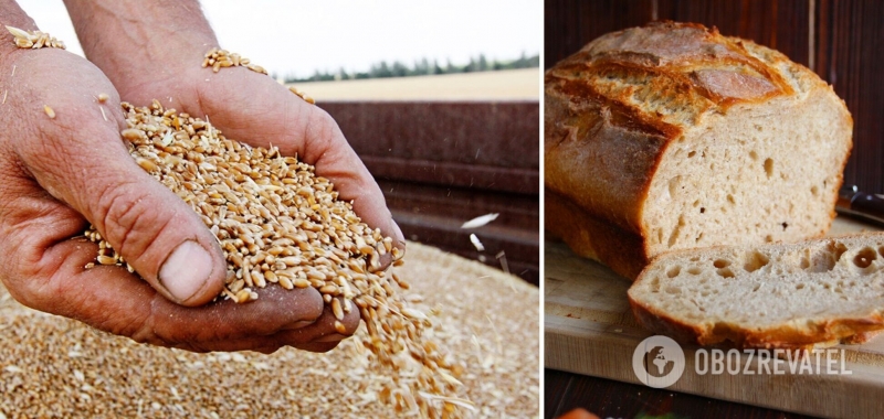 Украина нарастила продажу зерна – настолько, что печь хлеб уже практически не из чего