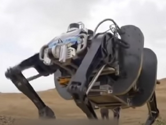 В Китае создали огромного военного робота-яка (видео)