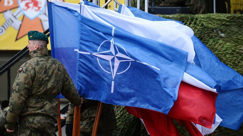 В Кремле ответили на вопрос о возможности вступления Финляндии в НАТО