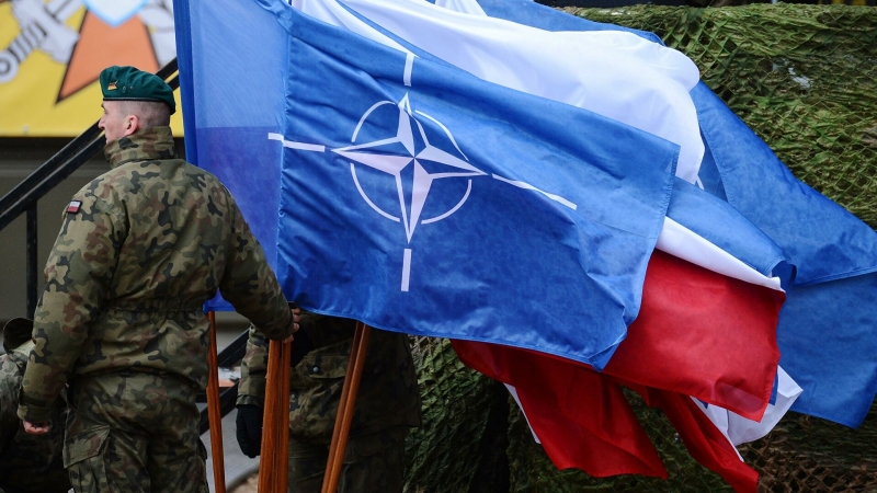 В Польше рассказали, как "невежественные русские" пугают НАТО