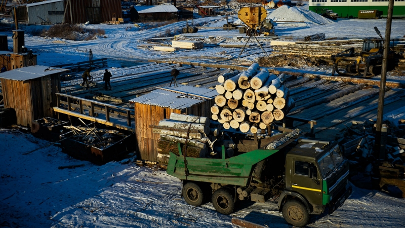 В Приморье нашли склад с нелегально заготовленной древесиной 