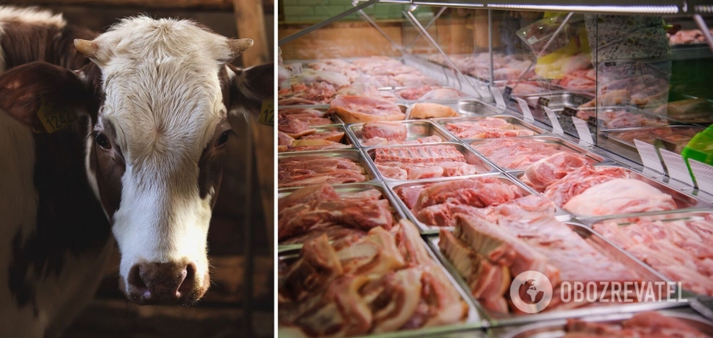 В Украине вымирают коровы – мясо приходится закупать за границей