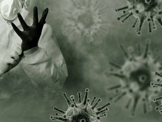 В ВОЗ сообщили о превращении коронавируса в эндемичную инфекцию