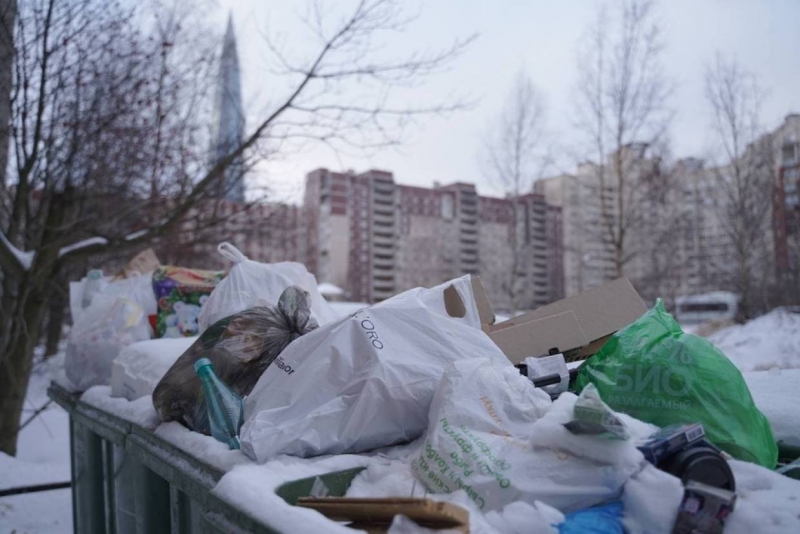 «За все отвечают двоечники»: Краско готов написать новое письмо президенту, чтобы спасти Петербург от мусорного хаоса
