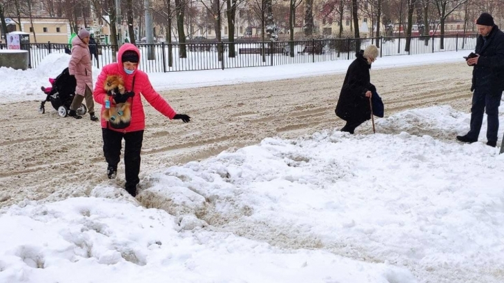 Желтый уровень погодной опасности объявлен в Петербурге из-за усиления ветра