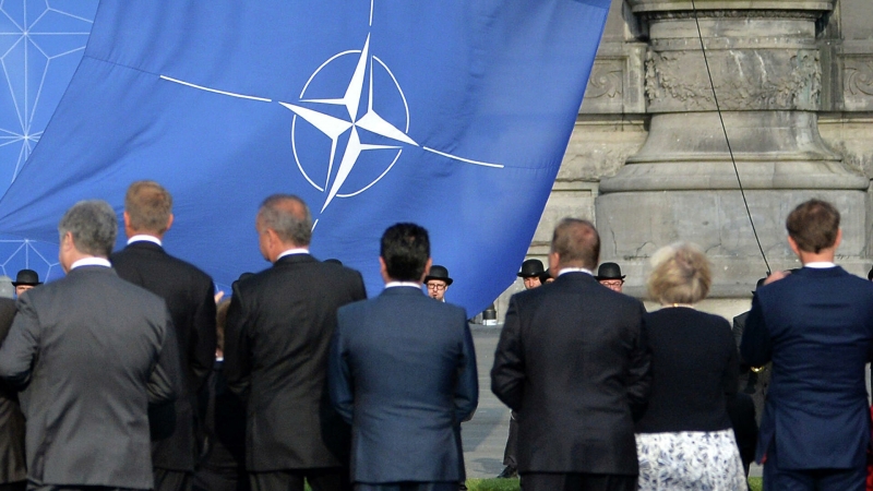 НАТО пытается втянуть Финляндию и Швецию в орбиту интересов, заявили в МИД