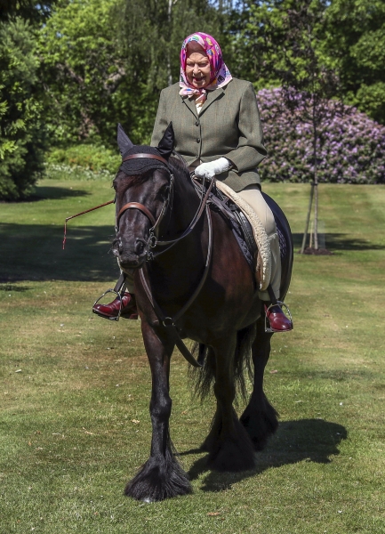 Платочек и обтягивающие брюки: Елизавета II на конной прогулке